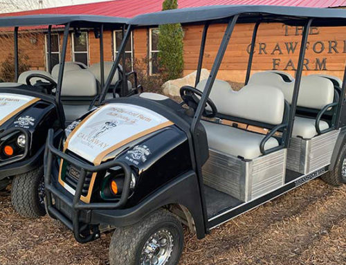 Two new six seat golf carts for comfortable transportation